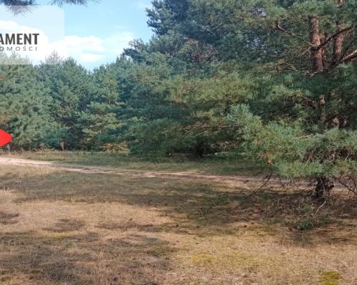 Działka Cekcyn obok lasu, jezior ,budowlana !