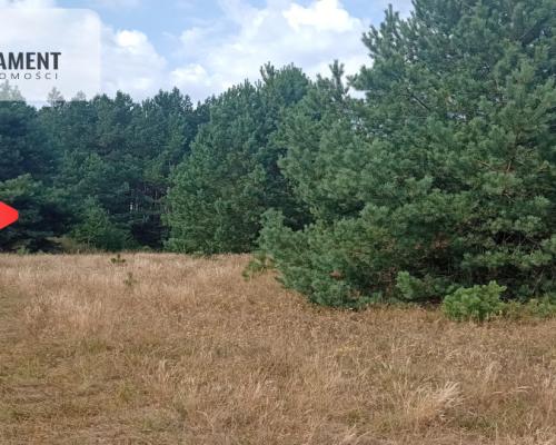 Działka Cekcyn obok lasu, jezior ,budowlana !