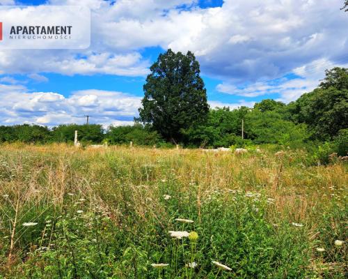 Działka pod magazyn!