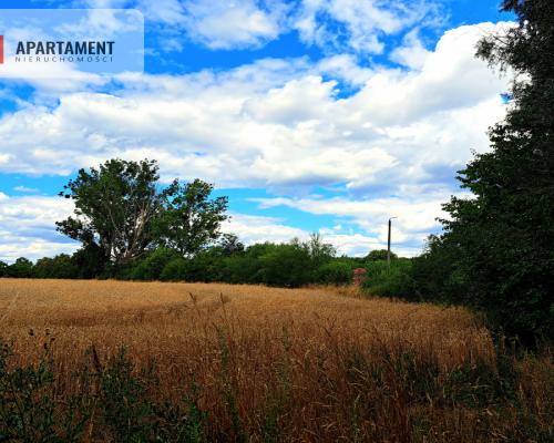 Działka pod magazyn!