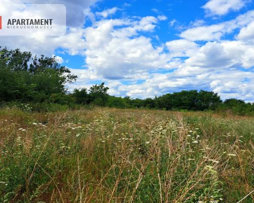 Działka pod magazyn!