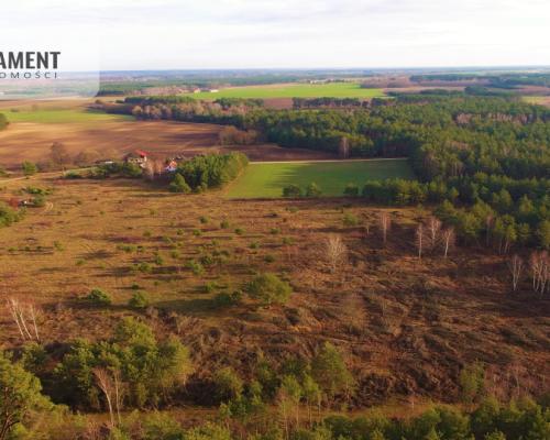 działka z warunkami zabudowy - Godzimierz