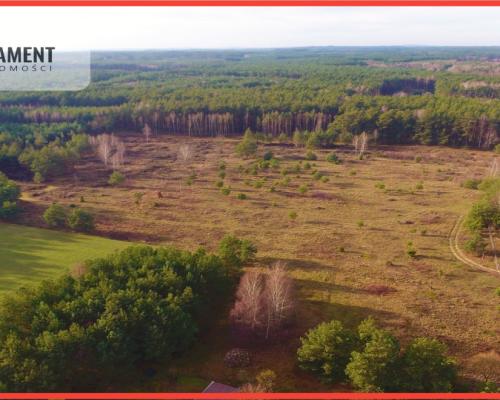 działka z warunkami zabudowy - Godzimierz