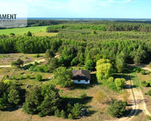 działka z warunkami zabudowy - Godzimierz