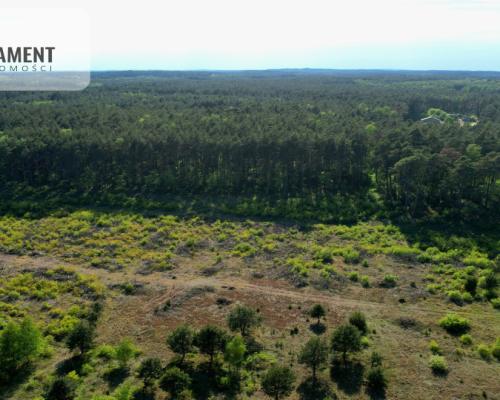 działka z warunkami zabudowy - Godzimierz