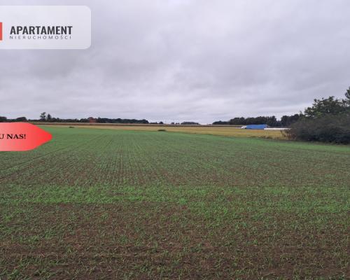*Duża działka w Jadownikach Rycerskich