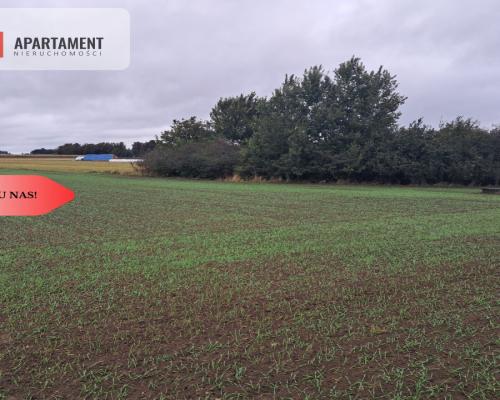 *Duża działka w Jadownikach Rycerskich