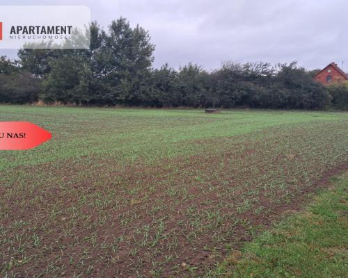 *Duża działka w Jadownikach Rycerskich