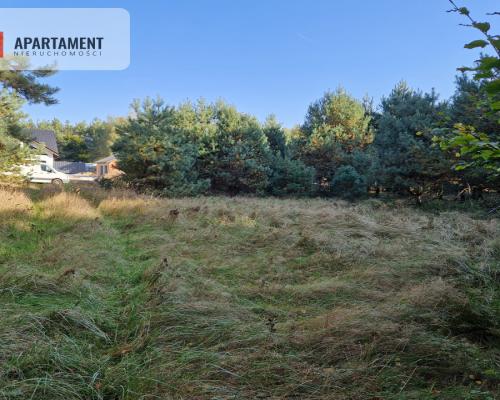 Działka budowlana z własnym lasem