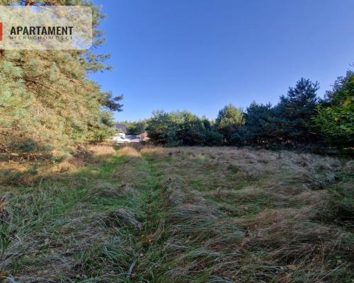 Działka budowlana z własnym lasem