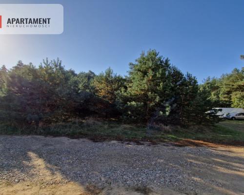 Działka budowlana z własnym lasem