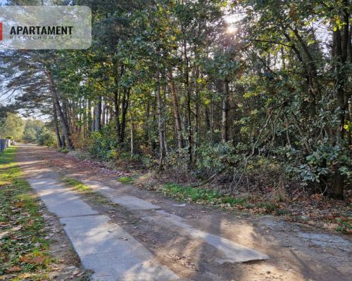 Działka budowlana z własnym lasem