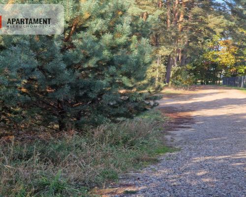 Działka budowlana z własnym lasem