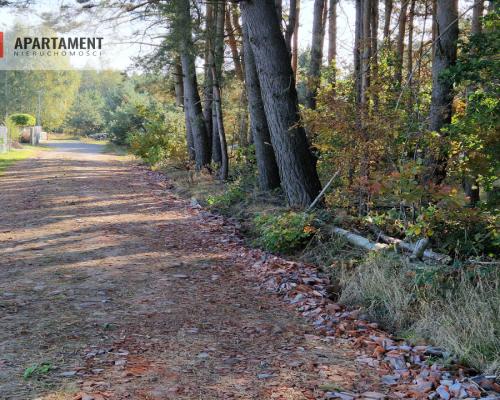 Działka budowlana z własnym lasem
