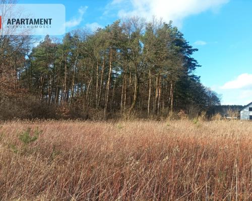 Piękna działka w okolicy jezior i lasów
