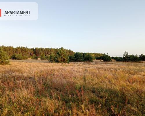 Tylko u nas ! Tania działka w spokojnej okolicy !