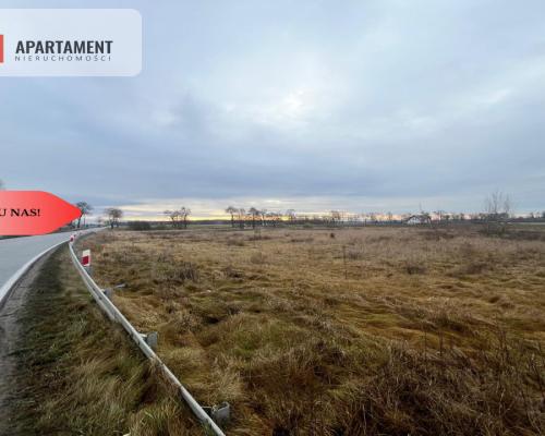 * Działka otoczona lasami i polami z WZ