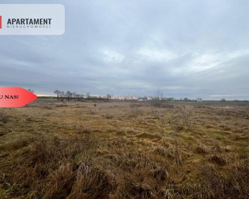 * Działka otoczona lasami i polami z WZ