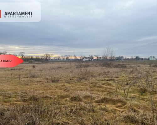 * Działka otoczona lasami i polami z WZ