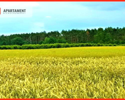 SZCZUTKI-MORZEWIEC 862m2  LAS CISZA SPOKÓJ