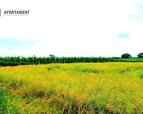 SZCZUTKI-MORZEWIEC 862m2  LAS CISZA SPOKÓJ