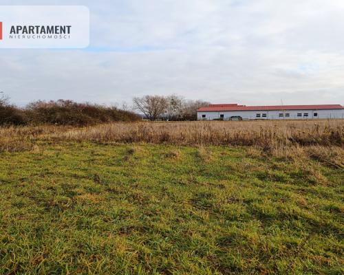 Atrakcejna działka ze "STUDIUM" bez MPZP