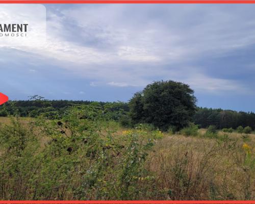 Tylko u nas! Świetna lokalizacja, cisza!