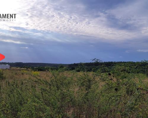 Tylko u nas! Świetna lokalizacja, cisza!