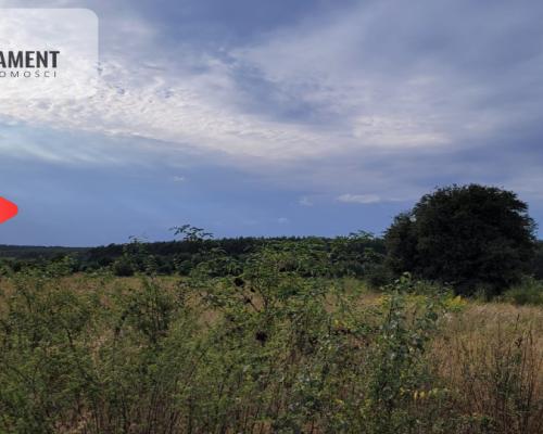 Tylko u nas! Świetna lokalizacja, cisza!