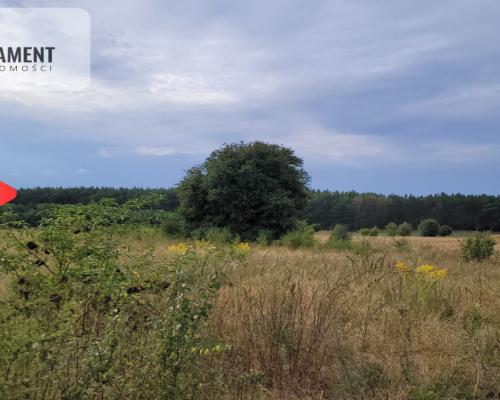 Tylko u nas! Świetna lokalizacja, cisza!