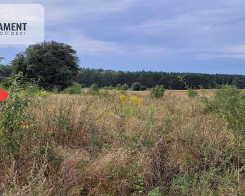 Tylko u nas! Świetna lokalizacja, cisza!