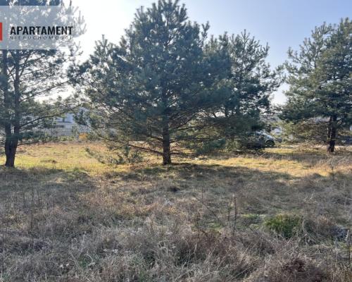 Atrakcyjna działka z możliwością negocjacji ceny
