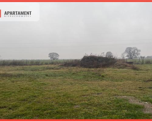 Działka z widokiem na las