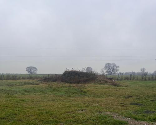 Działka z widokiem na las