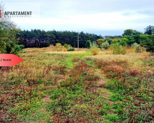 Tylko u Nas! Kopalnia żwiru z koncesją! Stawy!