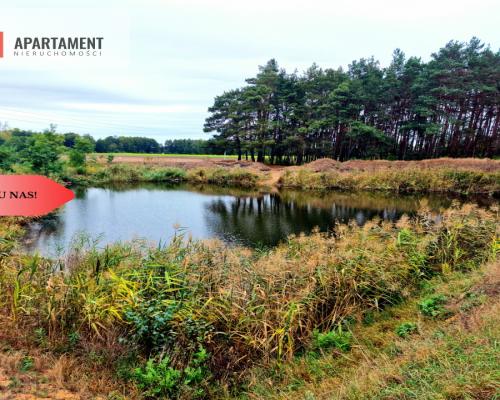 Tylko u Nas! Kopalnia żwiru z koncesją! Stawy!