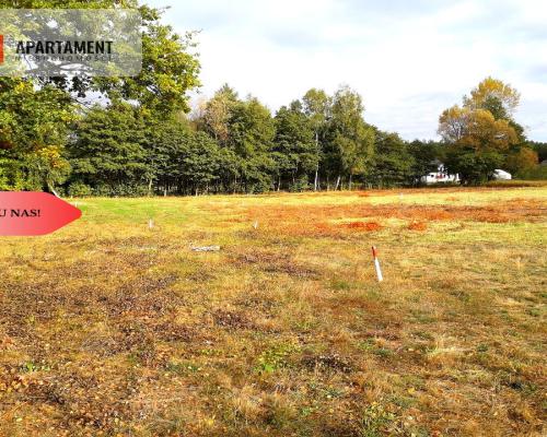 TYLKO U NAS !!! TOPORZYSKO 800 m2 SUPER LOKALIZACA