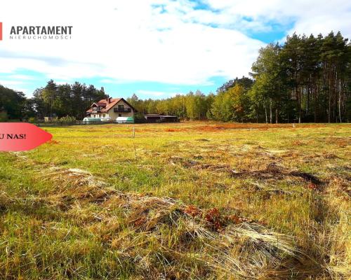 TYLKO U NAS !!! TOPORZYSKO 800 m2 SUPER LOKALIZACA