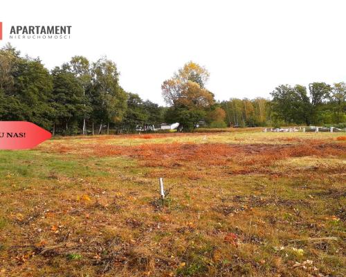 TYLKO U NAS !!! TOPORZYSKO 800 m2 SUPER LOKALIZACA