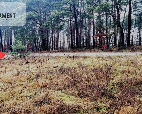 Duża narożna działka z prądem, las, jezioro.