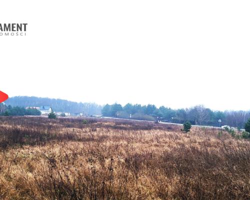 Duża narożna działka z prądem, las, jezioro.