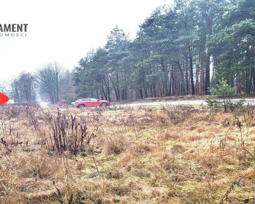 Duża narożna działka z prądem, las, jezioro.