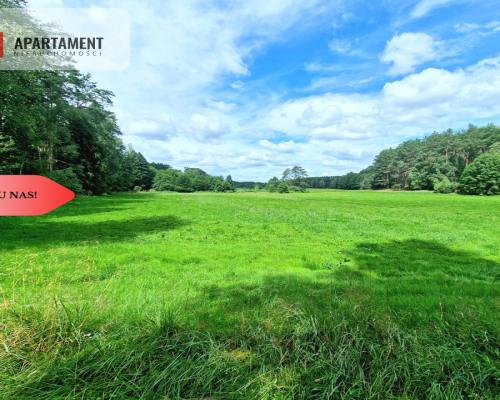 Polany w lesie! Bory Tucholskie! Głusza!