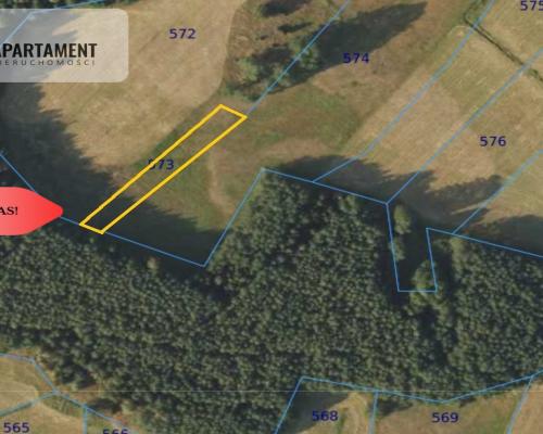 Polany w lesie! Bory Tucholskie! Głusza!