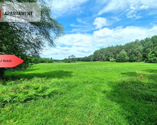 Polany w lesie! Bory Tucholskie! Głusza!