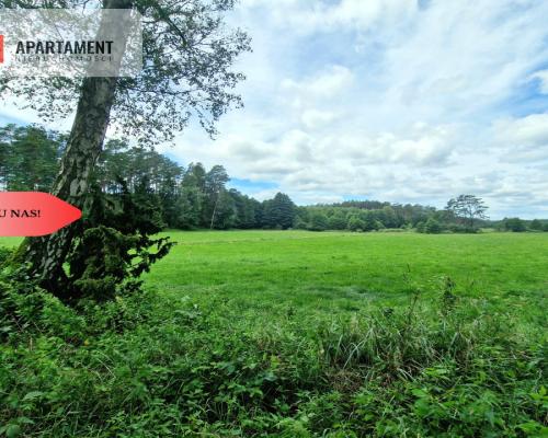 Polany w lesie! Bory Tucholskie! Głusza!