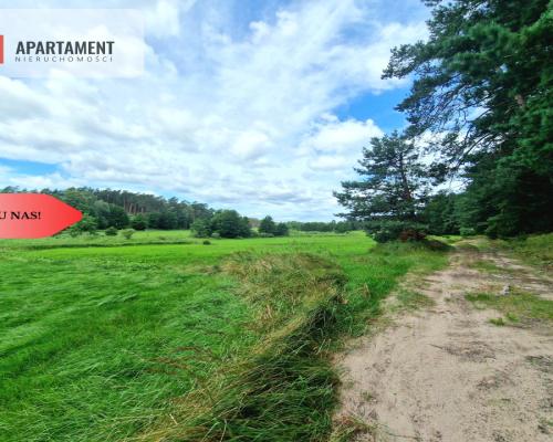 Polany w lesie! Bory Tucholskie! Głusza!