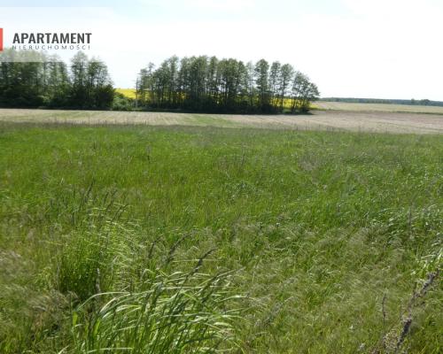 Działki budowlane z warunkami zabudowy