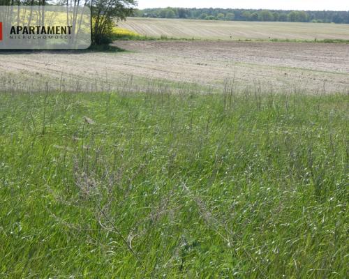 Działki budowlane z warunkami zabudowy