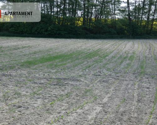 Działki budowlane z warunkami zabudowy